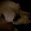 Rose Beasley - @rosebeasley69 - TikTok