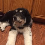 Dixie Rose Beaudoin - @dixie.rose.18 - Instagram