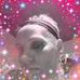Rose Begley - Facebook