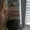 Vanessa Rose Begley - @bestlifebackyard - TikTok