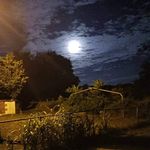 Rose Benge - @benge5833 - Instagram