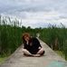Rose Beyer - Facebook