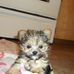 Rose Bingley - Facebook