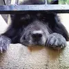 Rosy Biondo - @rosy.biondo1 - TikTok
