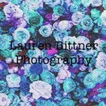 Lauren Bittner Photography - @laurenrosebittner - Instagram