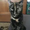 rosemariebittner4 - @rosemariebittner4 - TikTok