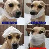 Rose Bromberg - @rosebromberg - TikTok