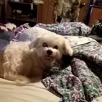 Rose Boardman - @rboardman.1954 - Instagram