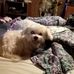 Rose Boardman - Facebook