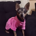 Roseli Bonetti - @rosebonettimatias - Instagram