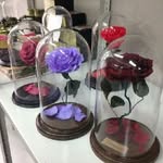 Розы в колбе - @rose_bottle - Instagram