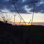 Rose Paton-Bottom - @rosebottom454 - Instagram