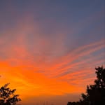 Rose - @rose_botter - Instagram