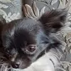rosebott279 - @rosebott279 - TikTok