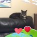 Rose Bouchard - Facebook