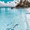 Rose_bouchard - @rose_boichard10 - TikTok