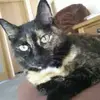roseboucherparent - @roseboucherparent - TikTok