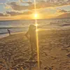Rose Bowman - @rose.bowman88 - TikTok