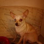 Rose Boyd - @rose.boyd.9674 - Instagram