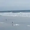 Rose Boyd - @2167648666 - TikTok
