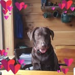 Rose Boynton - Facebook