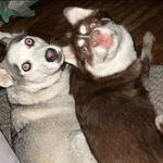 Rose Bragg Hockaday - @rosembh97 - Instagram