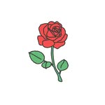 R O S E   B R A N C H - @_rosebranch - Instagram