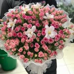 ROSE PARIS SANAIYA BRANCH - @roseparissanaiya - Instagram