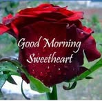 Rose Bratcher - Facebook