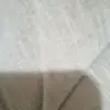 Rosa - @rosebraun1 - TikTok