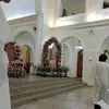 Rose Braunn - @rose.braunn - TikTok