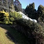 Rose Breen - @rose.breen.7547 - Instagram