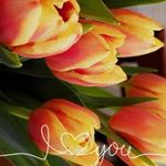 Rose Brisco - @rosebrisco - Instagram
