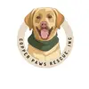 Copper Paws Rescue, Inc. - @brittrose33 - TikTok