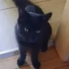 rosebritt7 - @rosebritt7 - TikTok