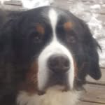 Rose Brosseau - @rosbros569 - Instagram