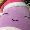 waylonpowell446 - @rosebuggy122 - TikTok