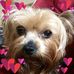 Rose Ritchie Burris - Facebook