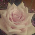 Rose Burt - @roseburt3321 - Instagram
