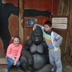 Rose Butcher - @butcher2917 - Instagram