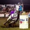 Ashley Rose Calhoun - @queenquarterhorses - TikTok