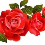 Rose Capuano - @desireesfuncakes - Instagram