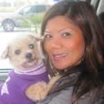 Star (Rose) Carranza ⭐️🐾🐶✨💫 - @pawshrus2018 - Instagram