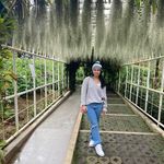 Frame Rose Carreon - @framerose.carreon - Instagram