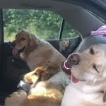 Rose Cartwright - @rose.cartwright.524 - Instagram
