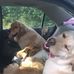 Rose Cartwright - Facebook