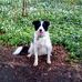 Rose Cartwright - Facebook