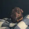 rosecartwright3 - @ilovesawyer6 - TikTok