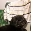 Rose Casanova - @rose.casanova7 - TikTok