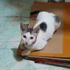 Rose Casas - @rosecasas0 - TikTok